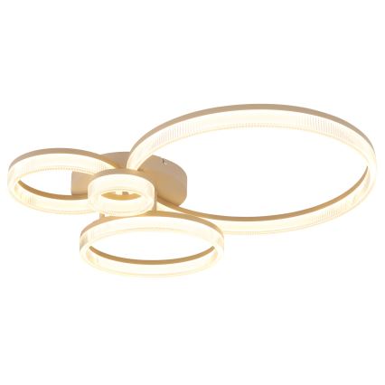 Globo - Φωτιστικό οροφής LED/40W/230V 3000K 64,5x75 cm