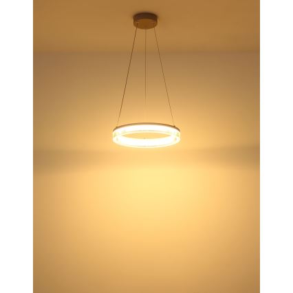 Globo - LED κρεμαστό φωτιστικό με καλώδιο LED/16W/230V 3000K