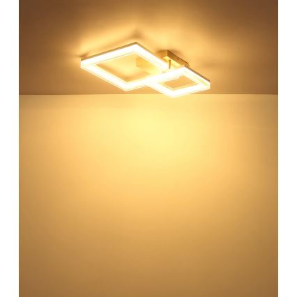 Globo - Φωτιστικό οροφής LED, 24W, 230V, 3000K, 46,5x62,5 cm