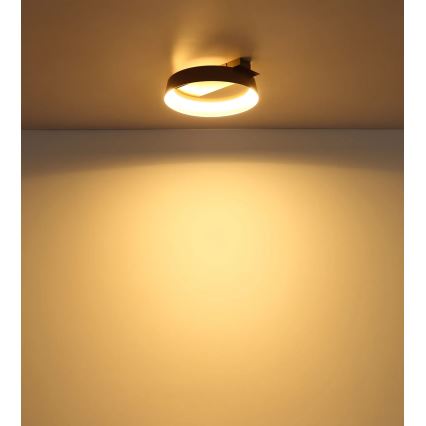 Globo - Φωτιστικό οροφής LED/12W/230V 3000K 26x25 cm