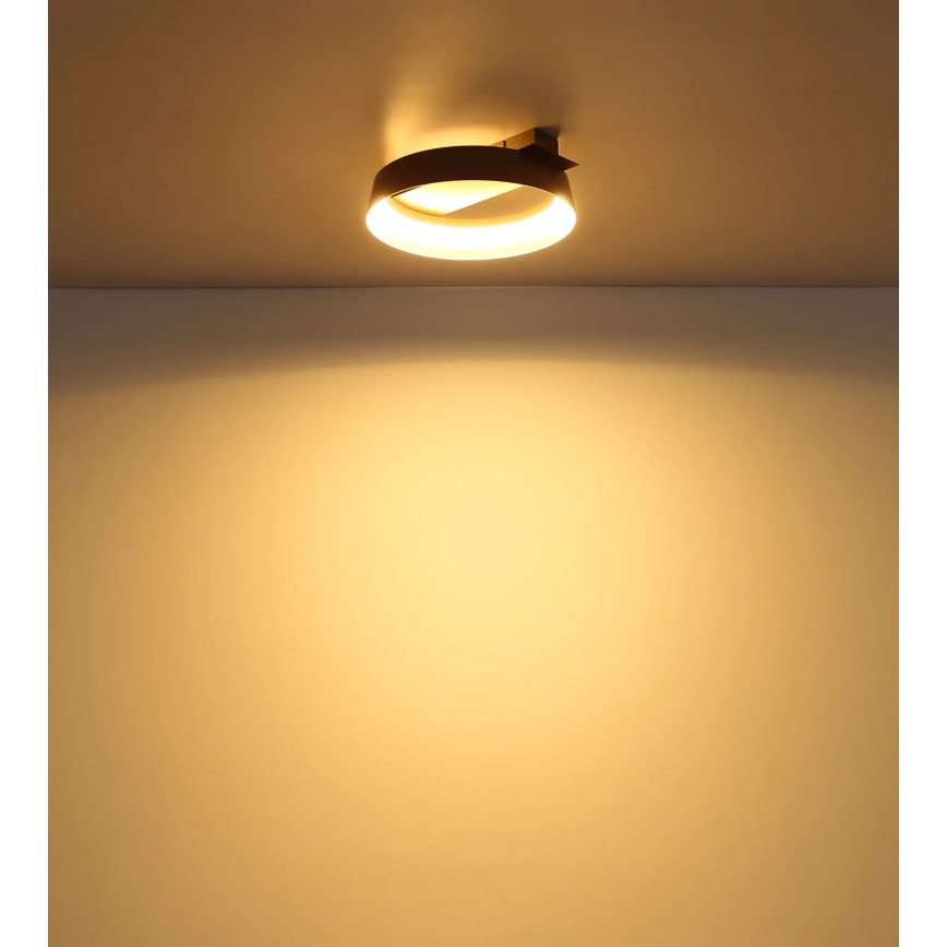 Globo - Φωτιστικό οροφής LED/12W/230V 3000K 26x25 cm