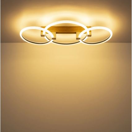 Globo - Φωτιστικό οροφής LED LED/40W/230V 3000K 76,1x38 cm καφέ