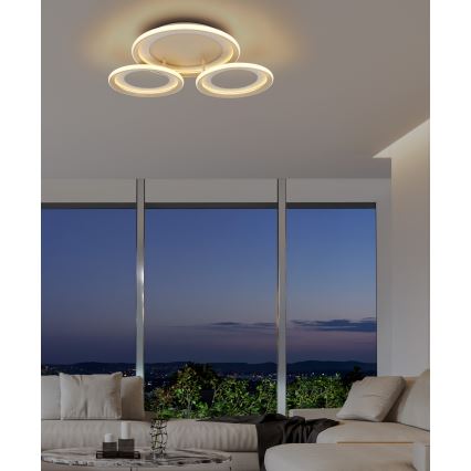 Globo - LED φωτιστικό οροφής LED/40W/230V 3000K 60,5x62,5 cm