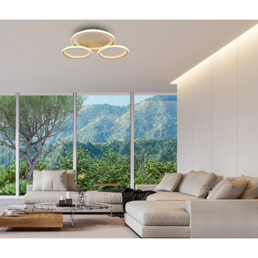Globo - LED φωτιστικό οροφής LED/40W/230V 3000K 60,5x62,5 cm