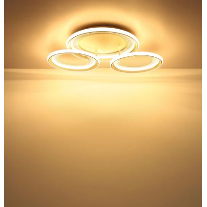 Globo - LED φωτιστικό οροφής LED/40W/230V 3000K 60,5x62,5 cm