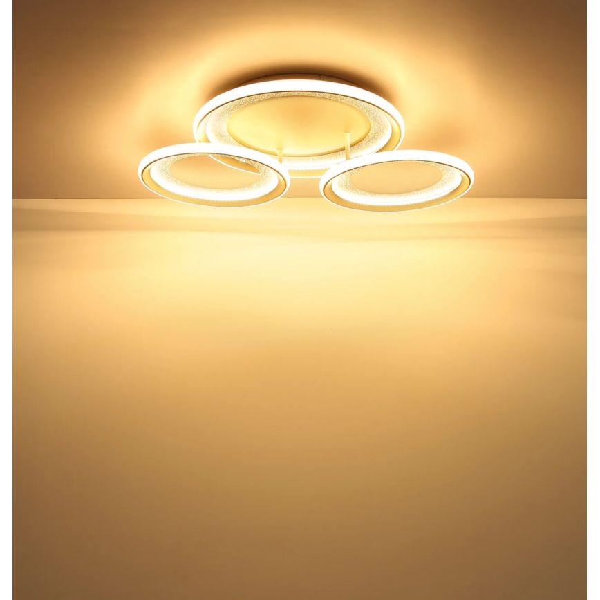 Globo - LED φωτιστικό οροφής LED/40W/230V 3000K 60,5x62,5 cm