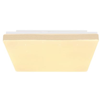 Globo - LED Φωτιστικό οροφής LED/12W/230V