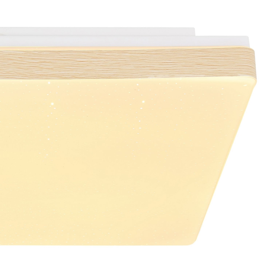 Globo - LED Φωτιστικό οροφής LED/12W/230V