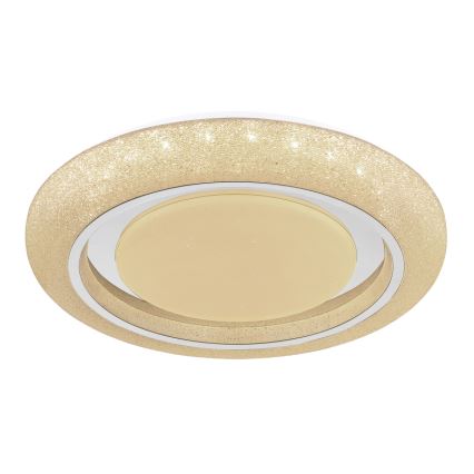Globo 483111-40 - Φωτιστικό οροφής LED RADA LED/40W/230V 2700/4200/6500K διάμετρος 49 cm