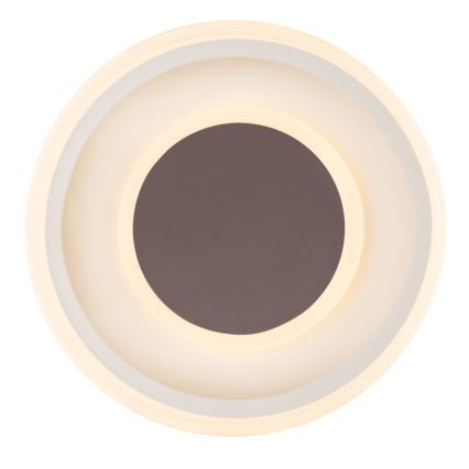 Globo 48398-24 - Φωτιστικό οροφής LED GOFFI LED/30W/230V