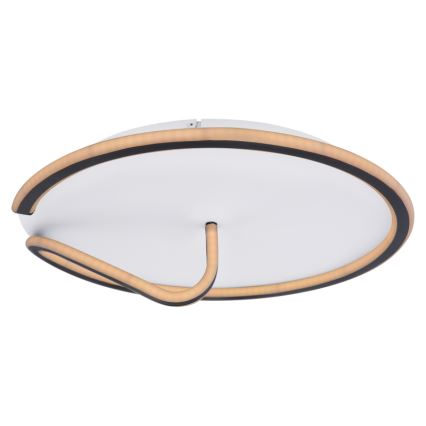 Globo - LED Dimmable φωτιστικό οροφής RODAN LED/50W/230V 3000-6000K + τηλεχειριστήριο