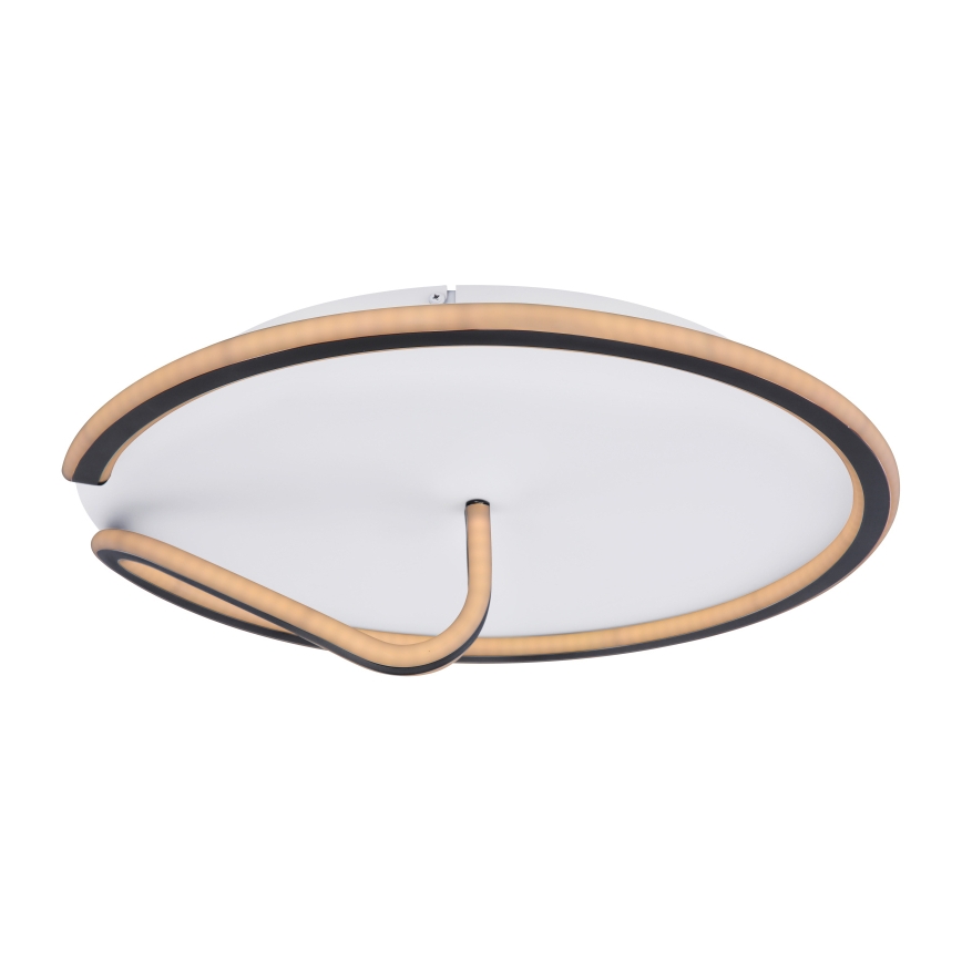 Globo - LED Dimmable φωτιστικό οροφής RODAN LED/50W/230V 3000-6000K + τηλεχειριστήριο