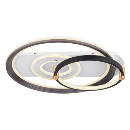 Globo 48459-46 - Ρυθμιζόμενο φωτιστικό οροφής LED ANI LED/46W/230V 2700-6000K 48x52 cm + τηλεχειριστήριο