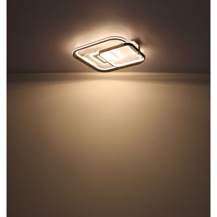 Globo 48459-48 - Ρυθμιζόμενο LED φωτιστικό οροφής ANI LED/48W/230V 2700-6000K 48x52 cm + τηλεχειριστήριο