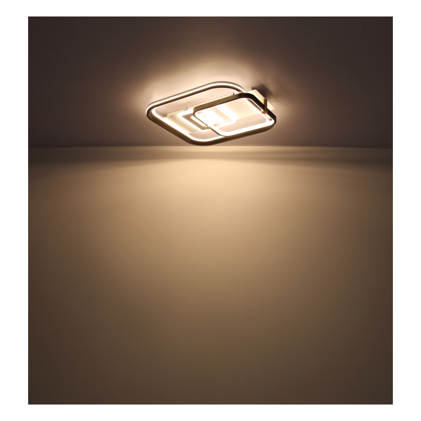 Globo 48459-48 - Ρυθμιζόμενο LED φωτιστικό οροφής ANI LED/48W/230V 2700-6000K 48x52 cm + τηλεχειριστήριο