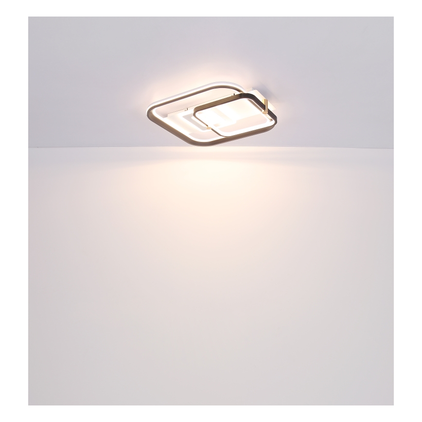 Globo 48459-48 - Ρυθμιζόμενο LED φωτιστικό οροφής ANI LED/48W/230V 2700-6000K 48x52 cm + τηλεχειριστήριο