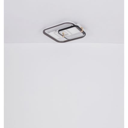 Globo 48459-48 - Ρυθμιζόμενο LED φωτιστικό οροφής ANI LED/48W/230V 2700-6000K 48x52 cm + τηλεχειριστήριο