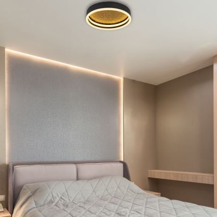 Globo - LED Οροφωτιστικό LED/24W/230V διάμ. 30 εκ. μαύρο