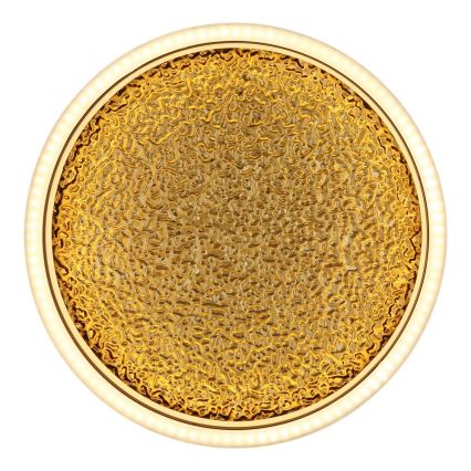 Globo - LED Οροφωτιστικό LED/24W/230V διάμ. 30 εκ. μαύρο