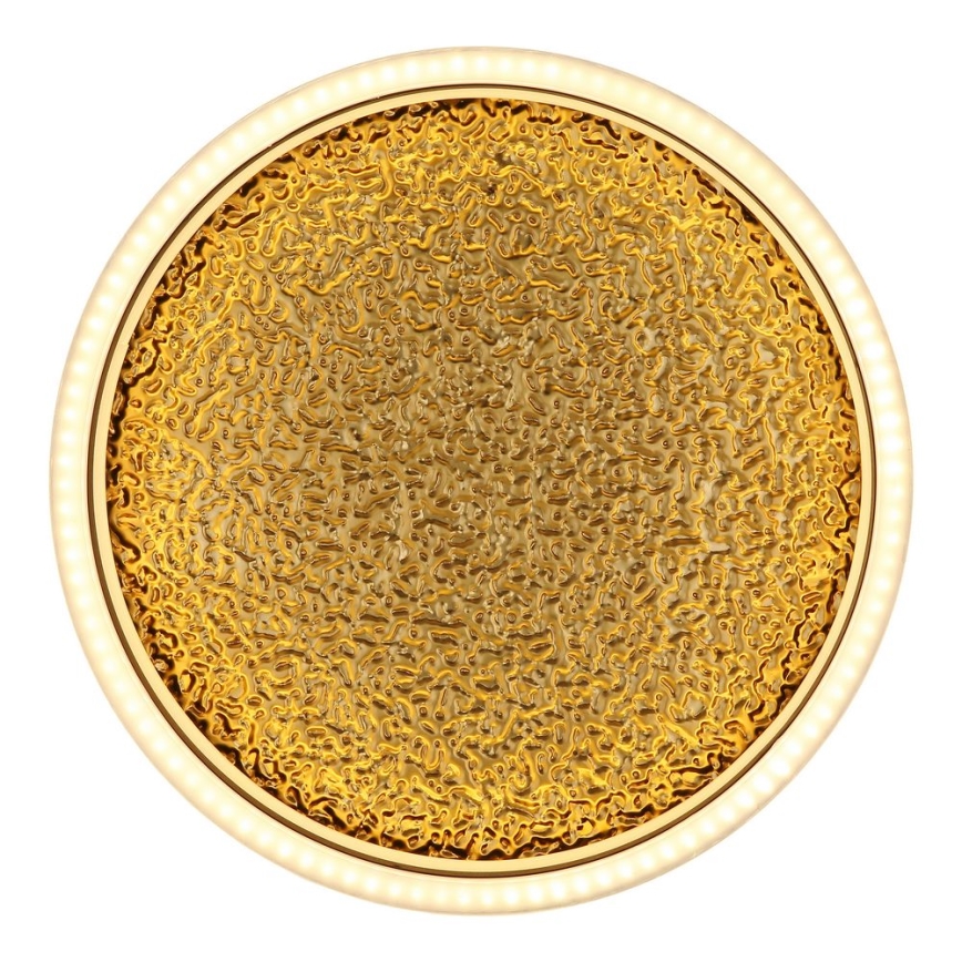 Globo - LED Οροφωτιστικό LED/24W/230V διάμ. 30 εκ. μαύρο