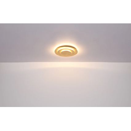 Globo - Φωτιστικό οροφής LED/40W/230V 3000K διάμ. 49 cm χρυσό