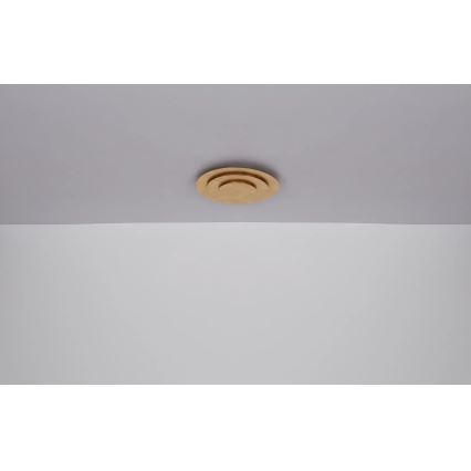 Globo - Φωτιστικό οροφής LED/40W/230V 3000K διάμ. 49 cm χρυσό