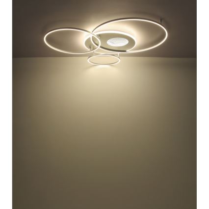 Globo - LED Ρυθμιζόμενο φωτιστικό οροφής LED/70W/230V 2700-6500K ματ χρώμιο + τηλεχειριστήριο