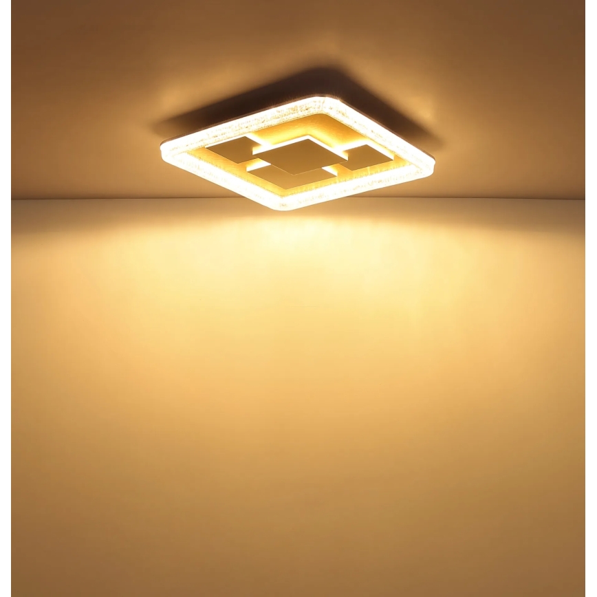 Globo - Φωτιστικό οροφής LED/40W/230V 3000K 48,8x48,8 cm χρυσό