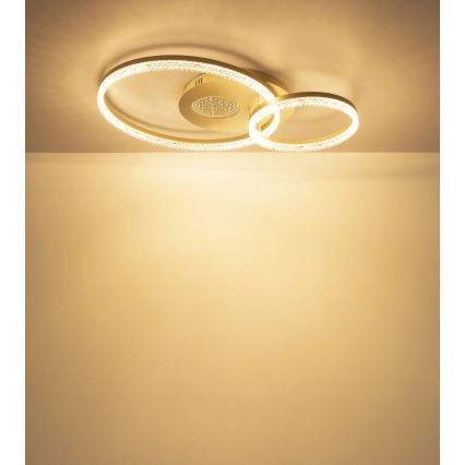 Globo - Φωτιστικό οροφής LED LED/30W/230V 3000K 70x50 cm μπεζ