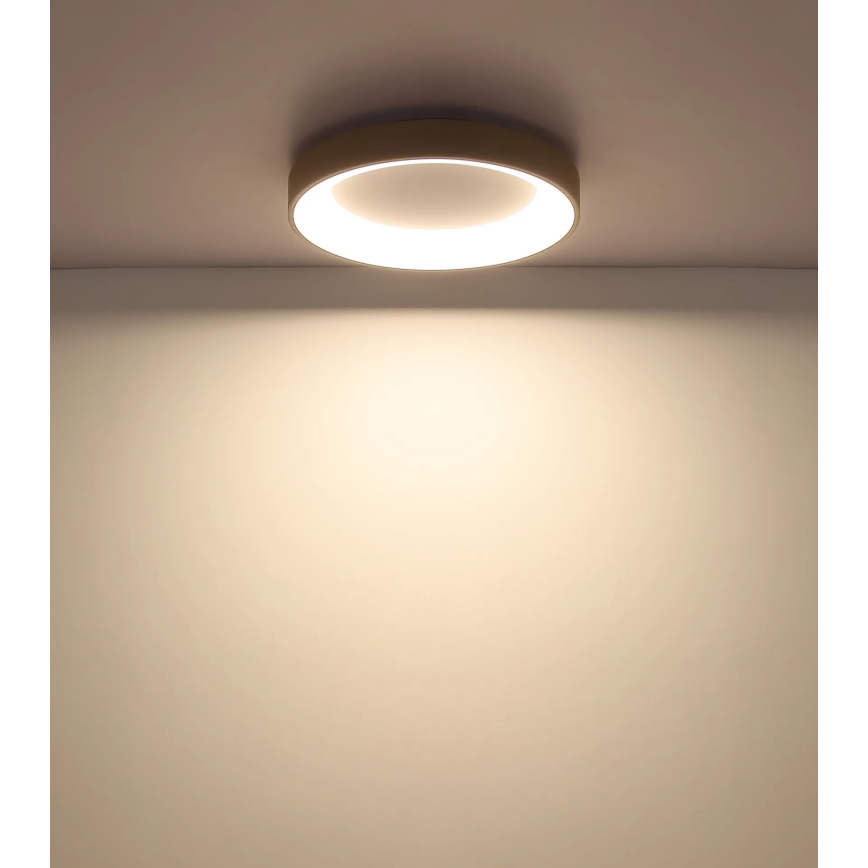 Globo - Ρυθμιζόμενο φωτιστικό οροφής LED/48W/230V 2700-6000K διάμ. 50 cm + τηλεχειριστήριο