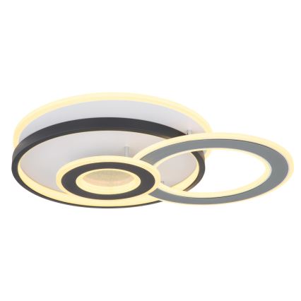 Globo 48552D4 - LED φωτιστικό οροφής BRIENNA LED/40W/230V 43x52 cm λευκό/γκρι