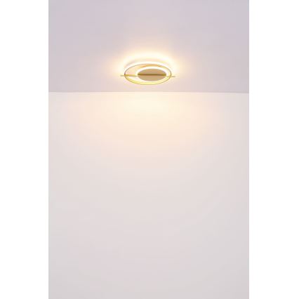 Globo - Φωτιστικό οροφής LED LED/36W/230V