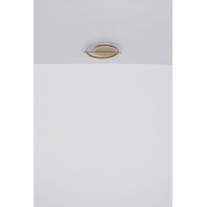 Globo - Φωτιστικό οροφής LED LED/36W/230V