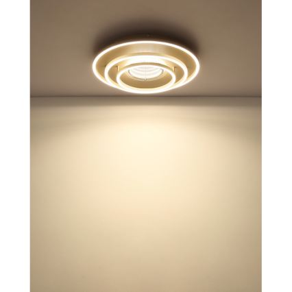 Globo - Φωτιστικό οροφής LED, 40W/230V, 3000/4000/6000K, Ø 51 εκ., μπεζ