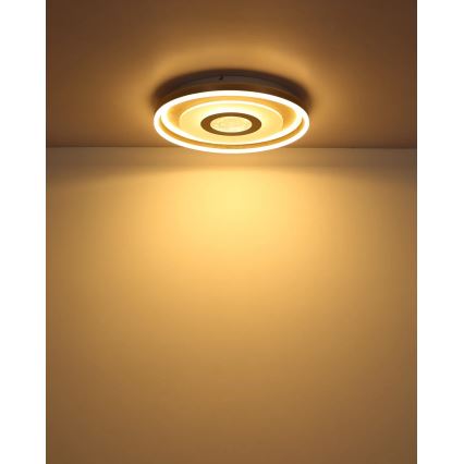 Globo - Φωτιστικό οροφής LED/40W/230V 3000K διάμ. 50 cm
