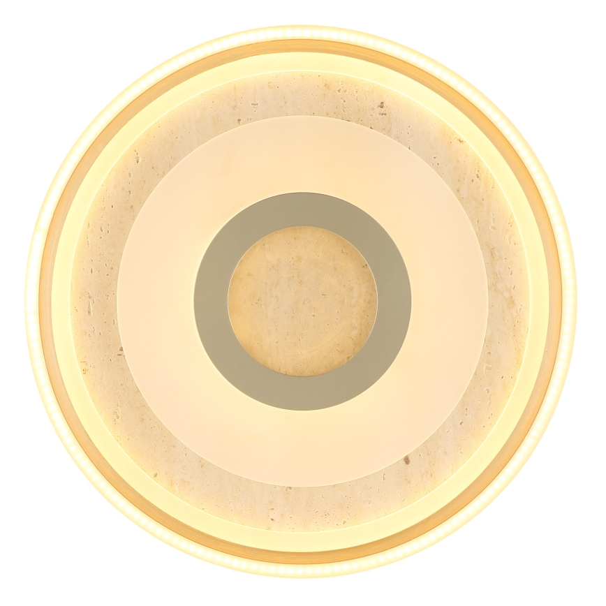 Globo - Φωτιστικό οροφής LED/40W/230V 3000K διάμ. 50 cm
