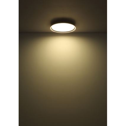 Globo - LED Dimmable φωτιστικό οροφής LED/48W/230V 2700-6000K + τηλεχειριστήριο διάμετρος 50 cm
