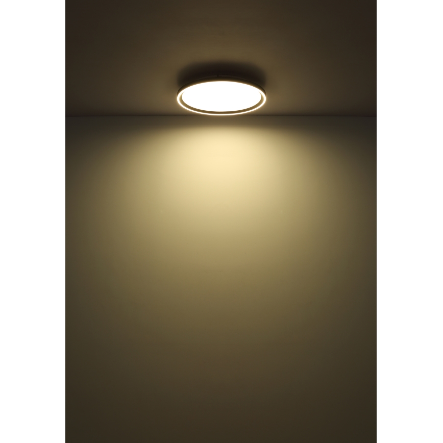 Globo - LED Dimmable φωτιστικό οροφής LED/48W/230V 2700-6000K + τηλεχειριστήριο διάμετρος 50 cm