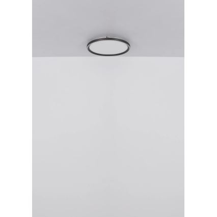 Globo - LED Dimmable φωτιστικό οροφής LED/48W/230V 2700-6000K + τηλεχειριστήριο διάμετρος 50 cm