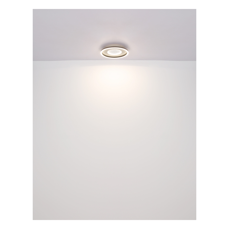 Globo - Φωτιστικό οροφής LED LED/24W/230V 2700/4500/6500K διάμετρος 33 cm