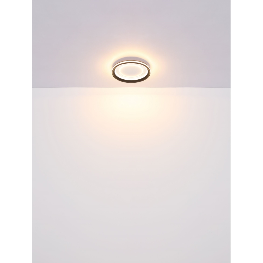 Globo - LED Dimmable φωτιστικό οροφής LED/24W/230V 2700-6000K + τηλεχειριστήριο