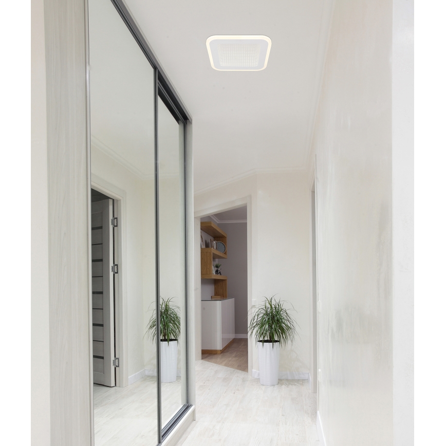 Globo - Φωτιστικό οροφής LED LED/12W/230V 4000K