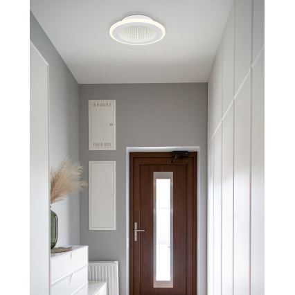 Globo - Φωτιστικό οροφής LED LED/12W/230V 4000K