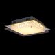 Globo - LED Κρυστάλλινο φως οροφής LED/18W/230V