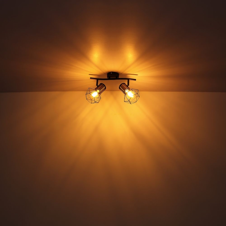 Globo - Φωτιστικό σποτ 2xE27/40W/230V