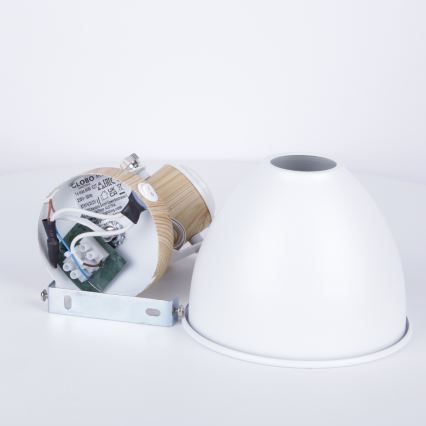 Globo - Προβολέας τοίχου 1xE27/40W/230V