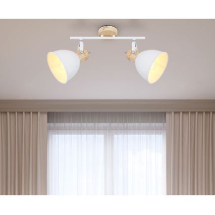Globo - Φωτιστικό σποτ 2xE27/40W/230V