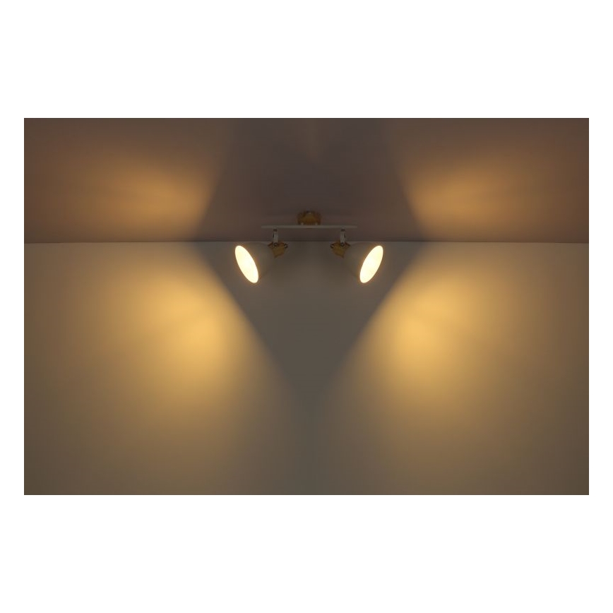 Globo - Φωτιστικό σποτ 2xE27/40W/230V