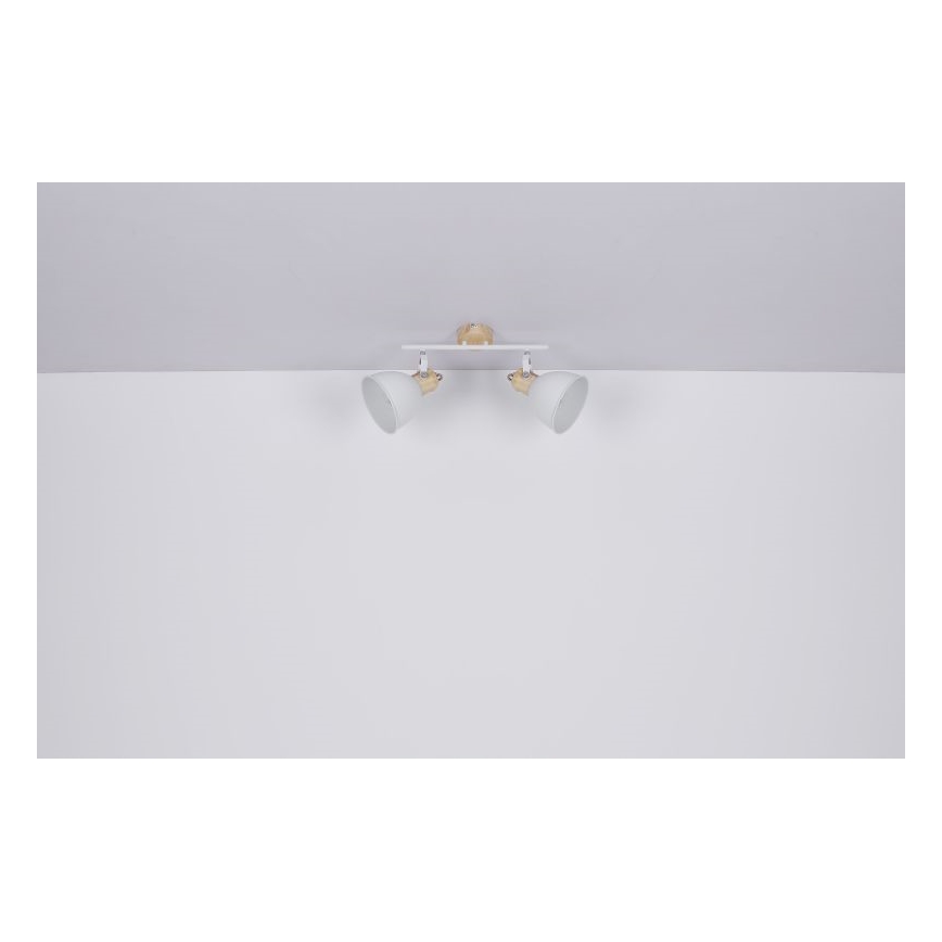 Globo - Φωτιστικό σποτ 2xE27/40W/230V