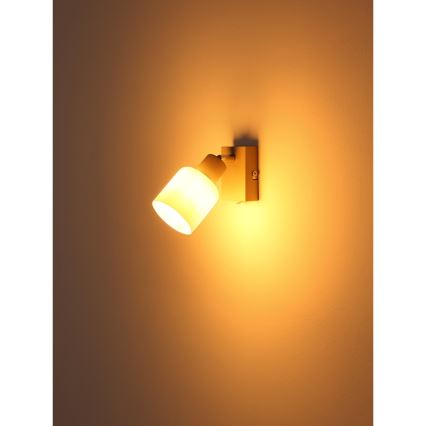 Globo - Επιτοίχιο σποτ 1xE14/25W/230V